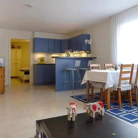 Apartment Oelestrasse 21 Matten bei Interlaken